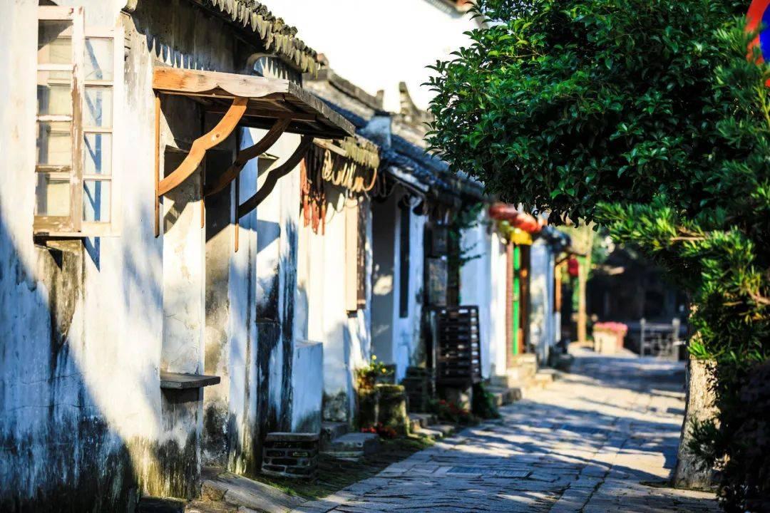网球运动员营救